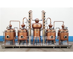 節能型白蘭地蒸餾設備 果酒蒸餾設備